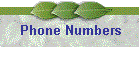 Phone Numbers