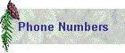 Phone Numbers