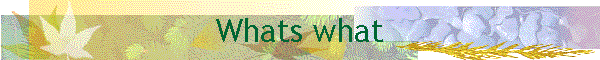 Whats what