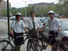 harrybikes.JPG (48026 bytes)